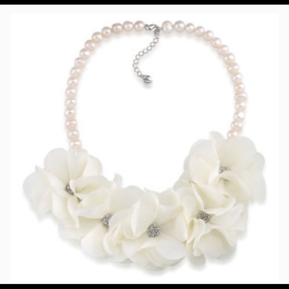 Carolee necklace & earrings